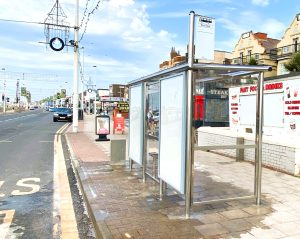 Invincible Mirror Polished with Ad cases